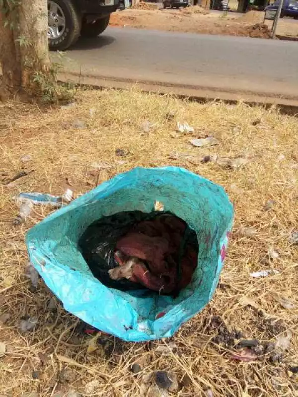End Time: Woman Dumps Her Aborted Baby by the Roadside in Makurdi (Graphic Photos)